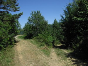 Rudnik, skretanje za Gradove i Misu kod Viljuja