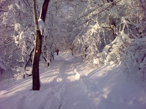 Staza pod snegom za vrh Avale