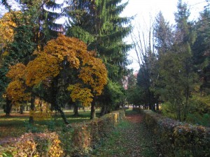 Arboretum, lep park